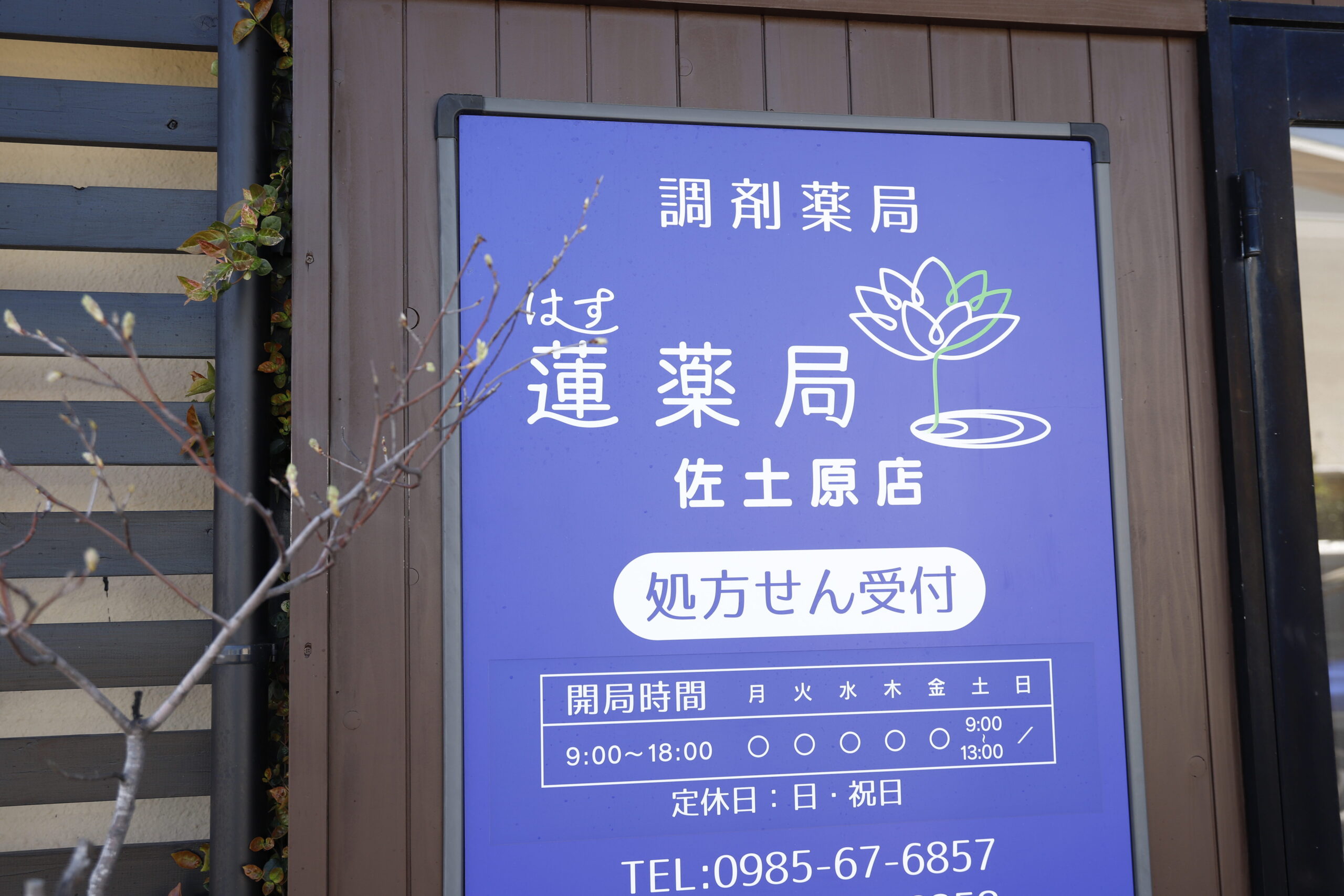 祖母の死で見つめた
「薬剤師として、最期に寄り添う」という決意